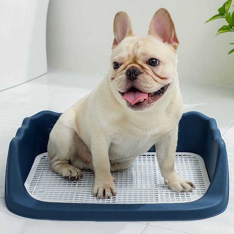 Khay vệ sinh có thành cao cho chó mèo kèm cột, khay hướng dẫn thú cưng đi vệ sinh đúng cách