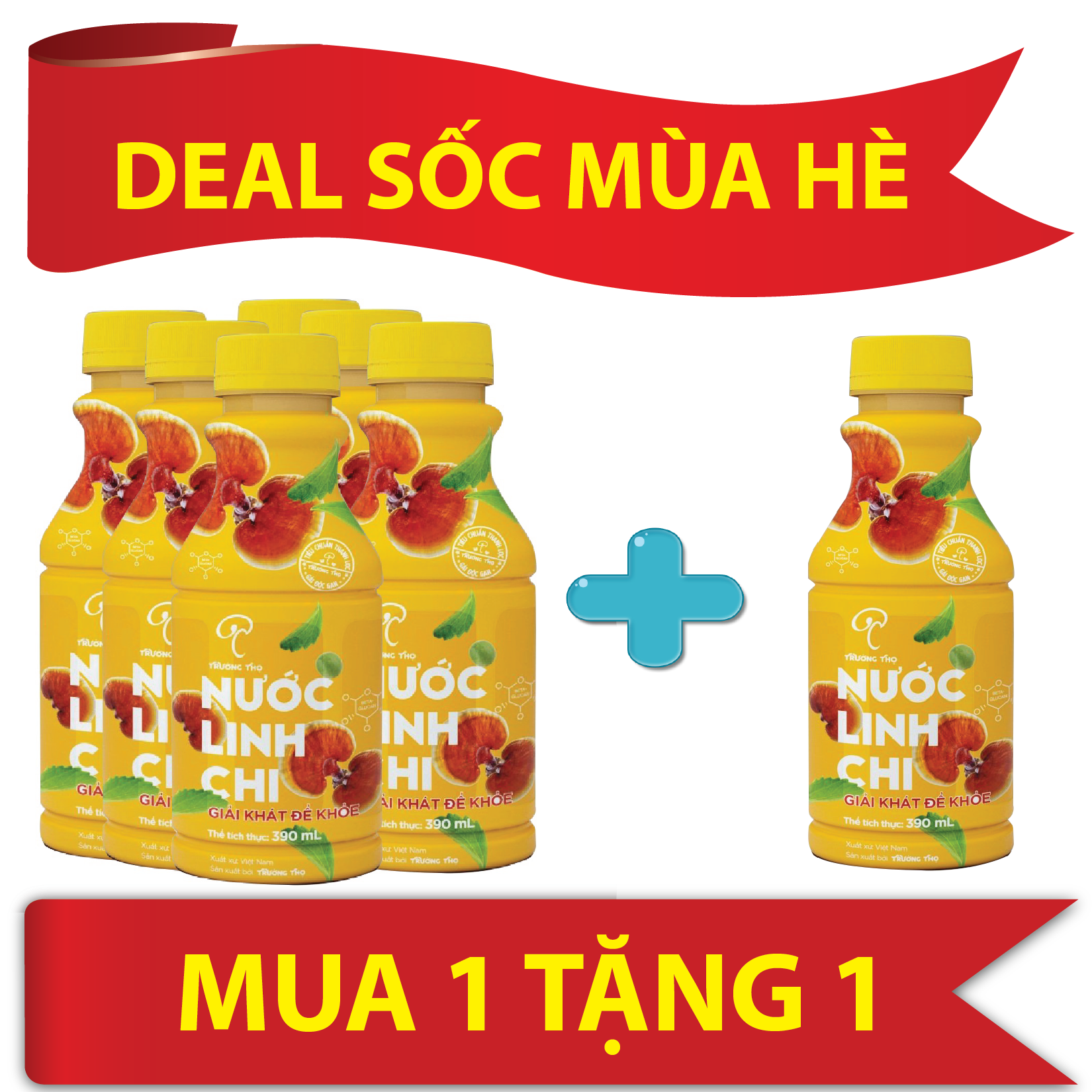 Nước linh chi trường thọ - lốc 6 chai
