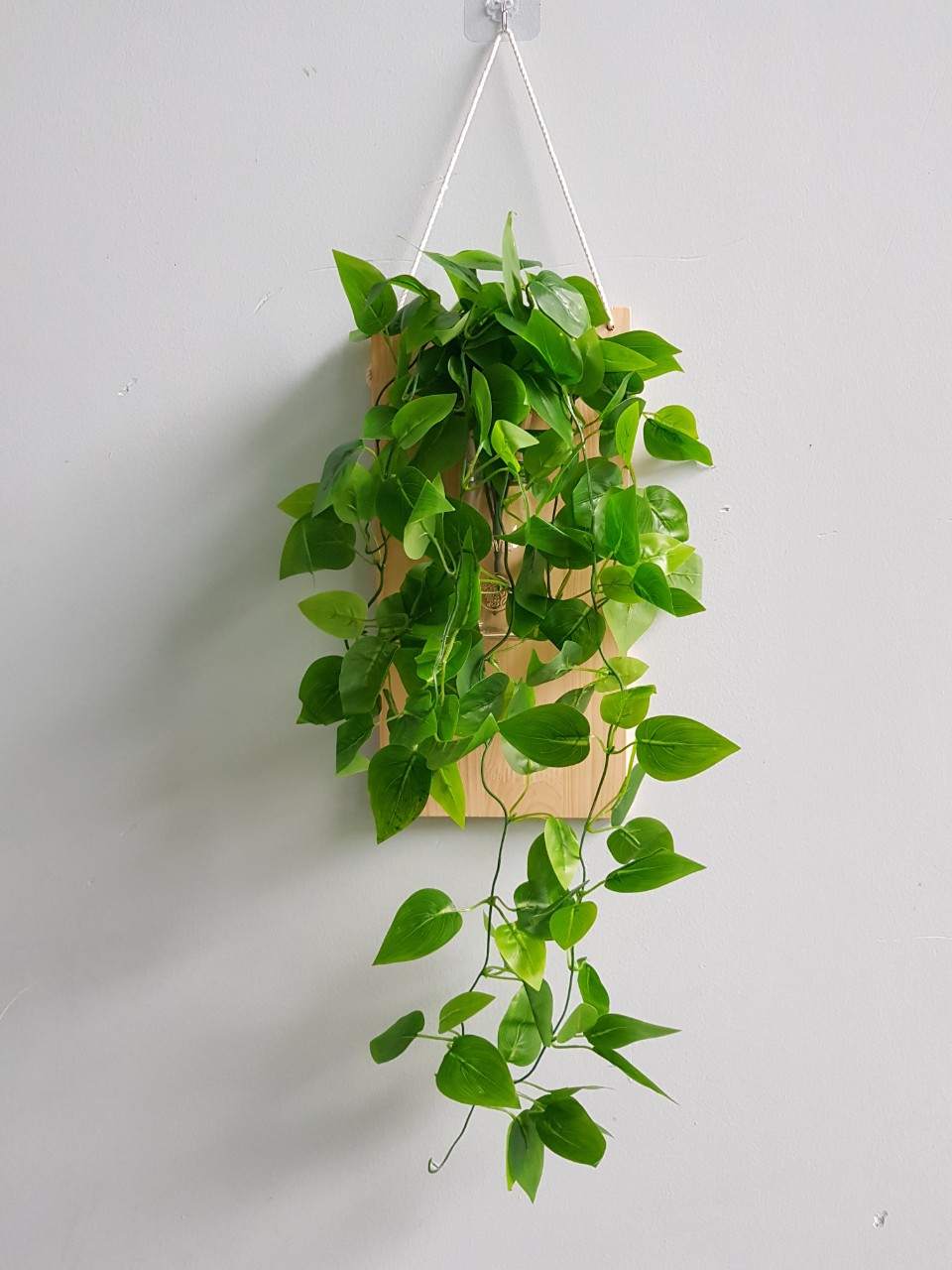 Khung gỗ treo tường kèm bình thuỷ tinh cắm hoa, cây thuỷ sinh - kệ gỗ cắm hoa mẫu mới dg-001
