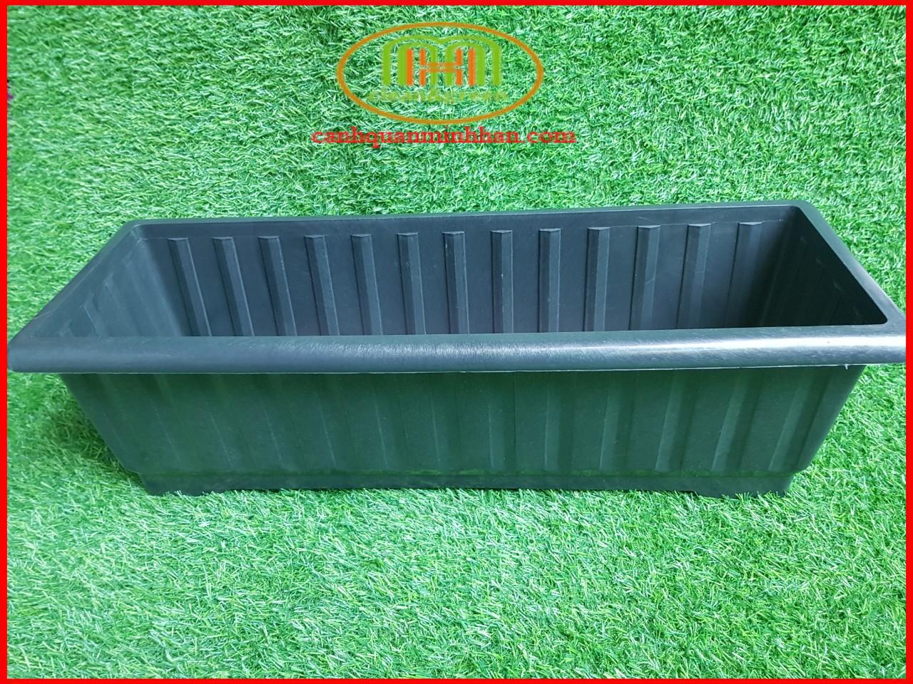 Chậu nhựa trồng cúc tần ấn độ hoa treo ban công hình chữ nhật thông minh 64cmx23cmx20cm | Minh Hân Garden