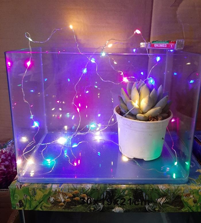 Đèn led dây trang trí 4 màu không nháy loại 2m với 20 bóng - không có sẵn pin.  Chuỗi đèn đem đến cho bạn hiệu ứng ánh sáng lãng mạn