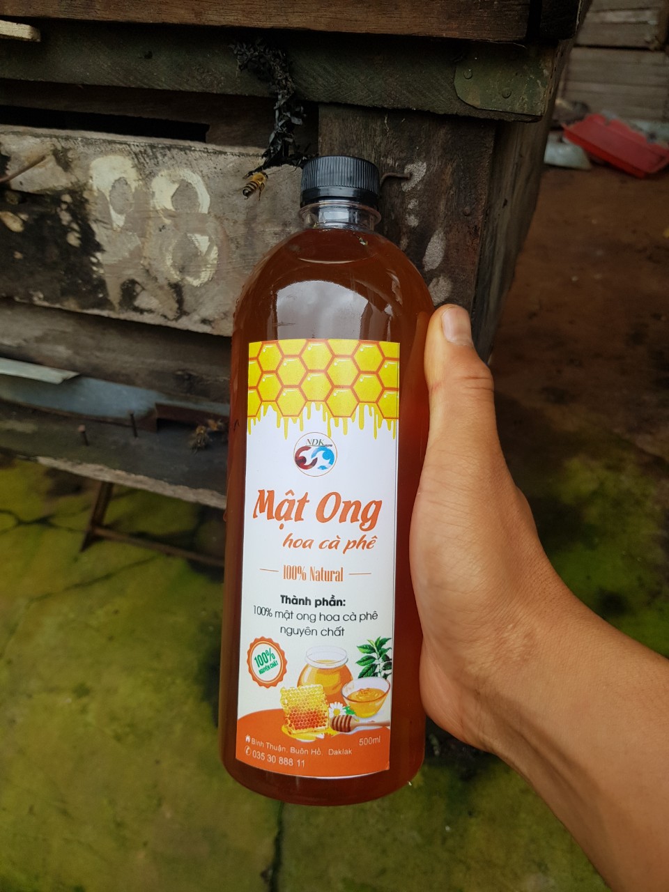 Rừng Mật Hoa Cà Phê_NDKstore_159k(Miễn phí ship)Giảm giá sốc cho mùa dịch. Khuyến mãi 200gr phấn hoa cho combo 1.5 lít trở lên.
