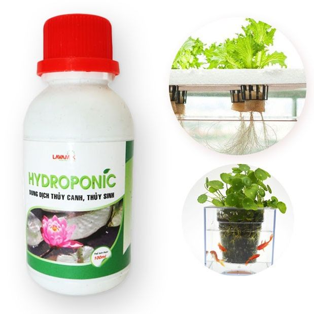 Phân bón, phân dung dịch thủy canh, dinh dưỡng trồng thủy canh, dùng cho cây rau kiểng ngập nước