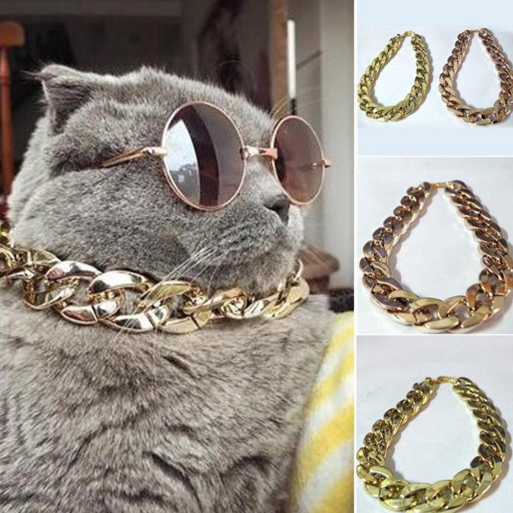 Vòng cổ cho chó mèo mạ vàng