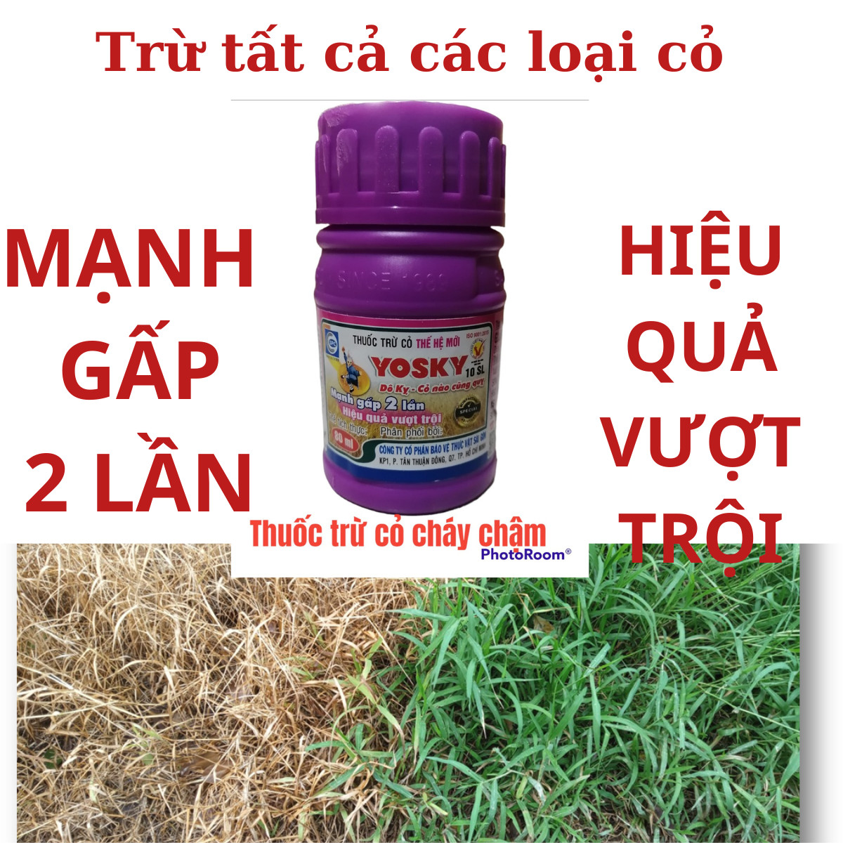 Thuốc diệt cỏ lưu dẫn - Trừ cỏ tận gốc -thay thế GLyphosate - Cỏ cháy hoàn toàn sau 3-5 ngày phun chai 100ml