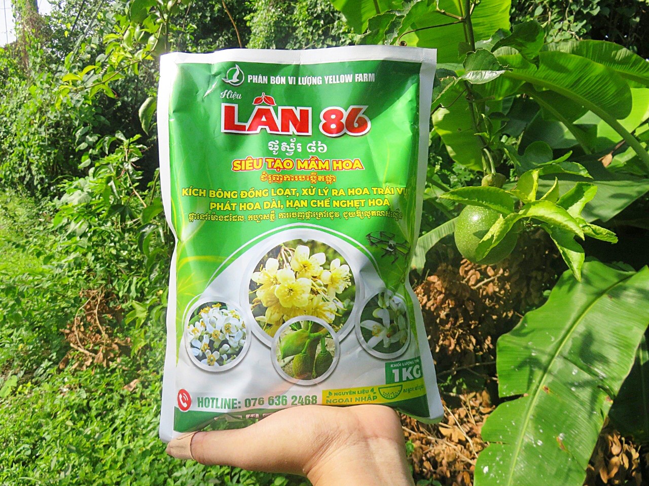 Lân 86- hạn chế nghẹt hoa, xử lý ra hoa trái vụ gói 1kg