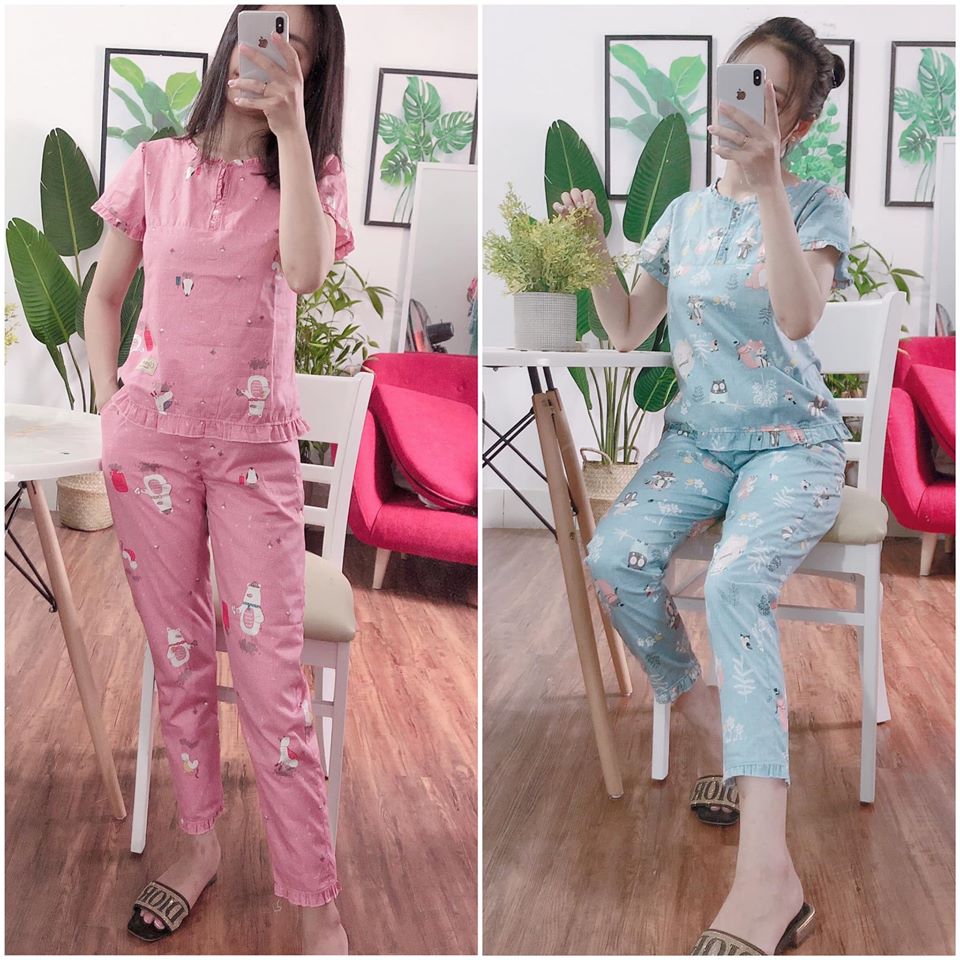 Quần áo nữ mặc nhà, Đồ bộ mặc nhà cổ bèo quần 9 tấc siêu xinh