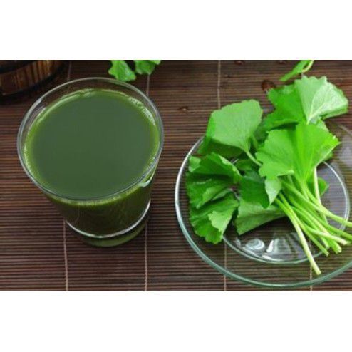 ☘ ☘ Rau Má Uống Liền Nguyên Chất Không Đường Quảng Thanh Hộp Chia Sẵn Tiện Lợi Hộp 15 Gói X 3G ☘ ☘