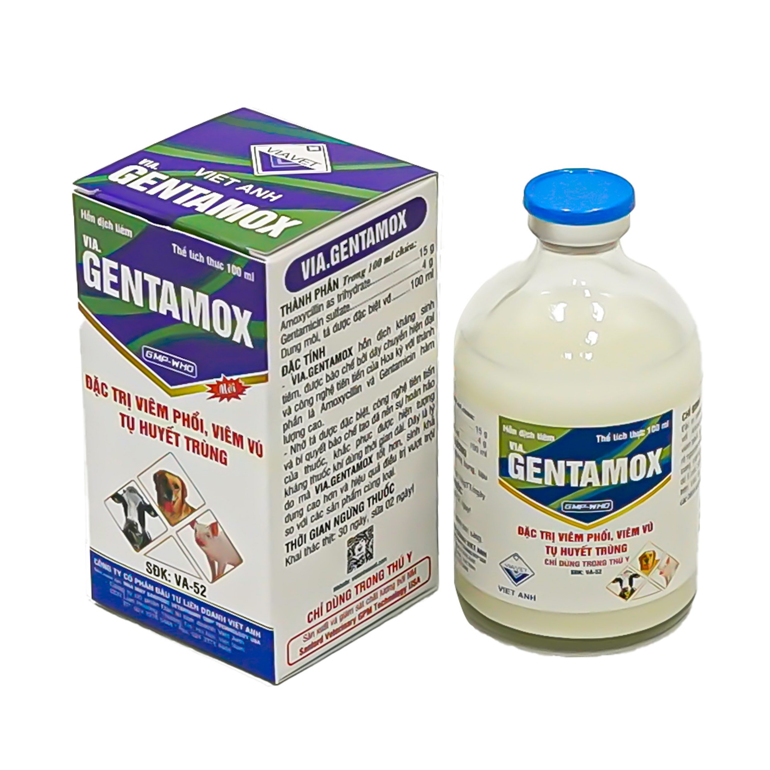 Gentamox 100ml đặc tr ị nhiễm khuẩn, viêm phổi, viêm vú, viêm tử cung