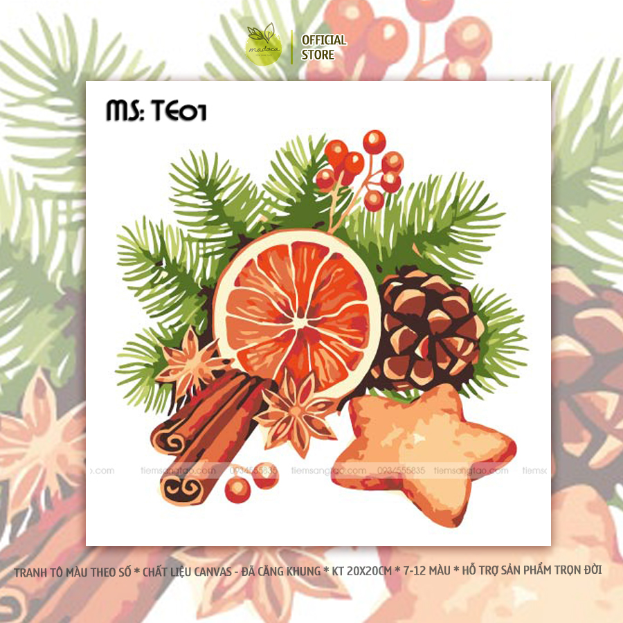Tranh tô màu theo số Cam Quế mùa giáng sinh TE01 kích thước 20x20cm