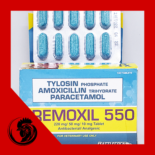 SỔ MŨI KHÒ KHÈ GÀ ĐÁ PREMOXIL 550 - VỈ 10 VIÊN GIÁ TỐT