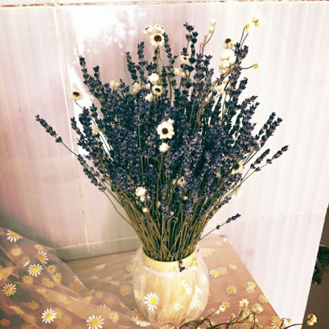 Lọ hoa lavender pháp & cúc ammo nhật