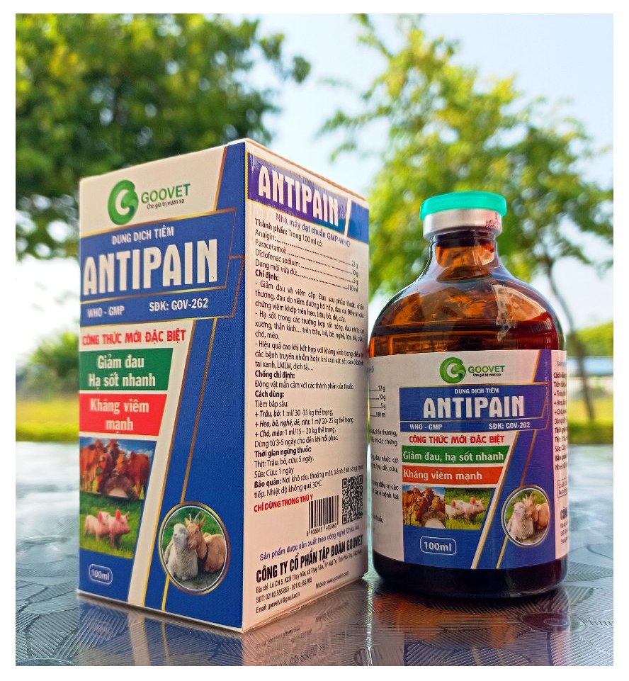 ANTIPAIN- Giảm đau, hạ sốt, kháng viêm nhanh