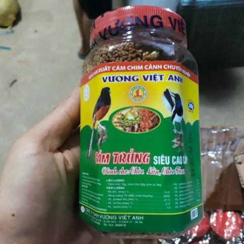 Combo 2 lọ Cám trứng siêu cao cấp Vương Việt Anh(300g) dành cho chòe lửa, chòe than