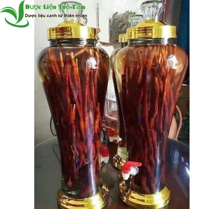 Nấm linh chi sừng hươu - Nấm sừng hươu