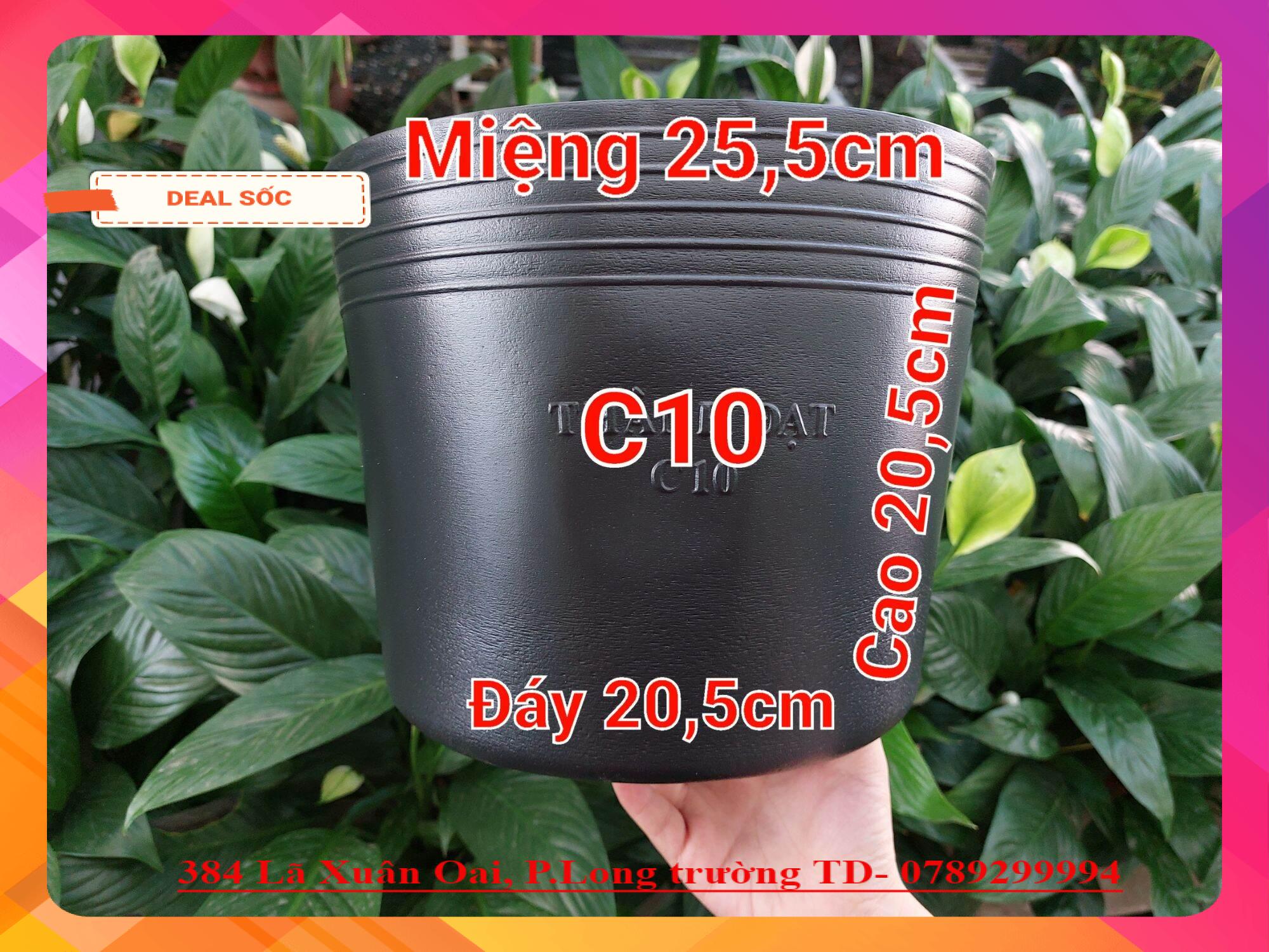 Chậu nhựa đen C10 dày tốt (10 cái)  trồng hoa, trồng rau, trồng cây kiểng