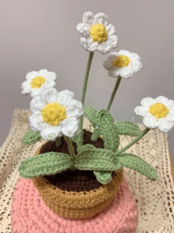 Hoa cúc họa mi bằng len handmade