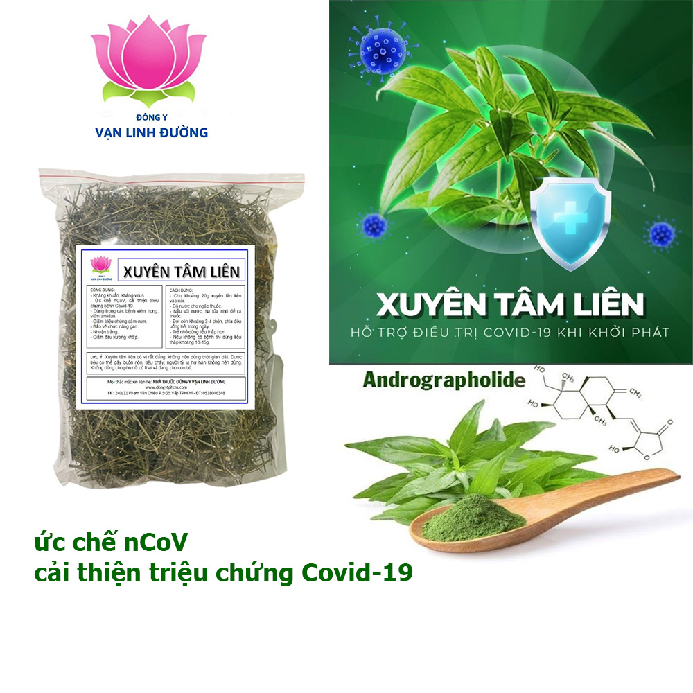 Xuyên Tâm Liên VLD kháng khuẩn, kháng virus 100g