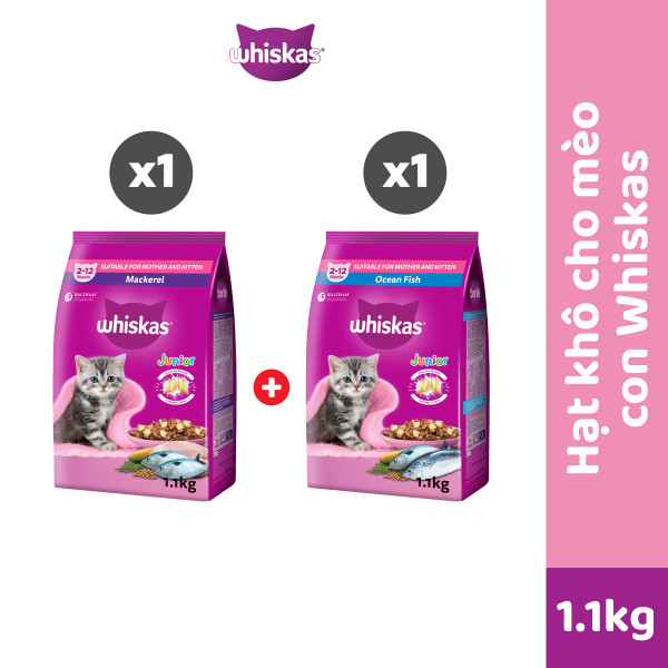Bộ 2 túi thức ăn WHISKAS®  cho mèo con dạng hạt 1.1kg (2 túi)