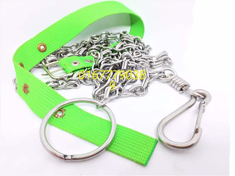 Dây xích chó inox
