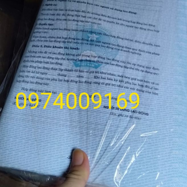 Hợp đồng lao động (100 tờ)