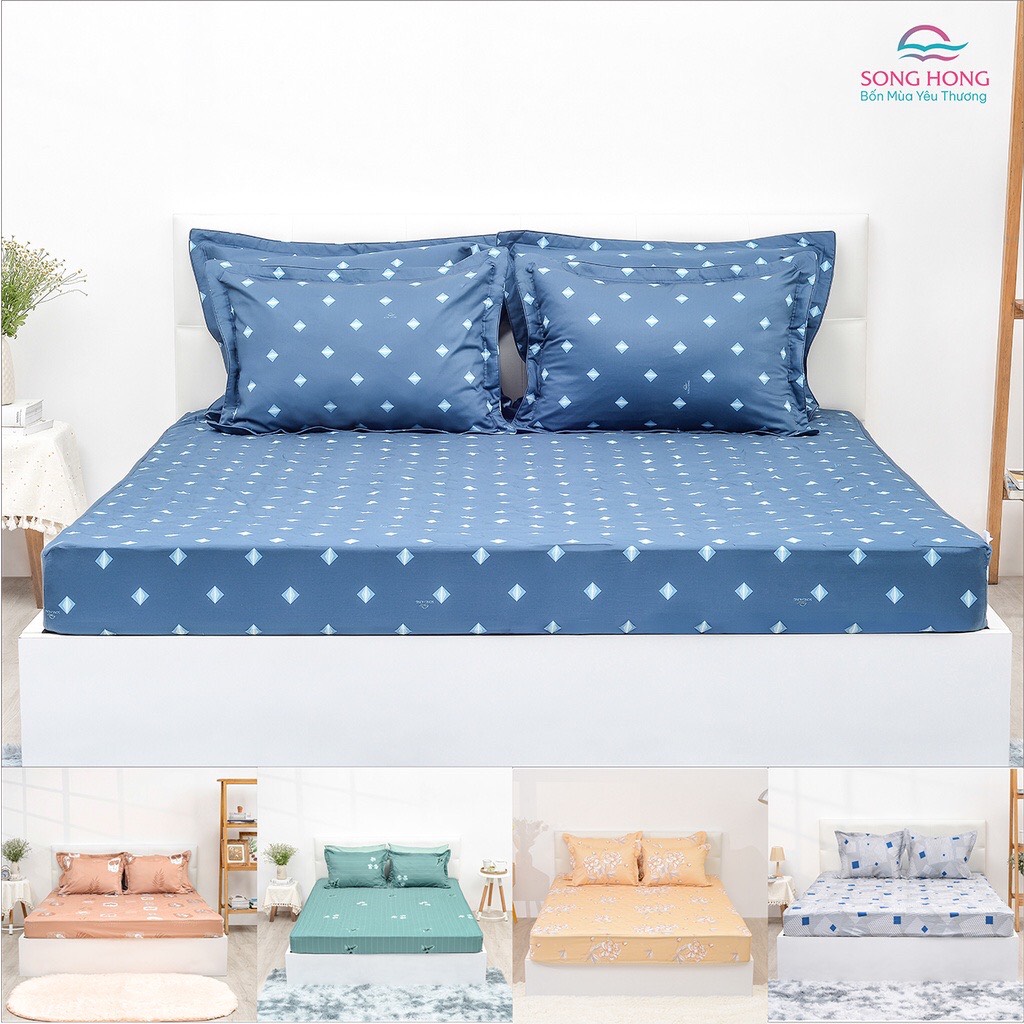 Bộ ga chun không chần 160x200 Sông Hồng chất cotton
