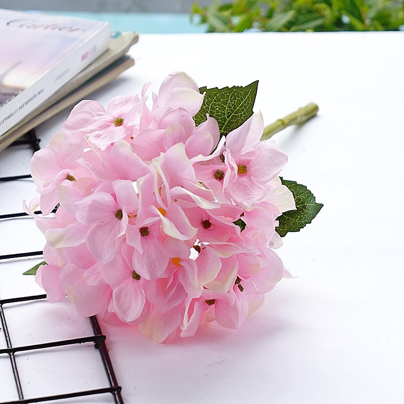 Bông cẩm tú cầu đơn cỡ trung