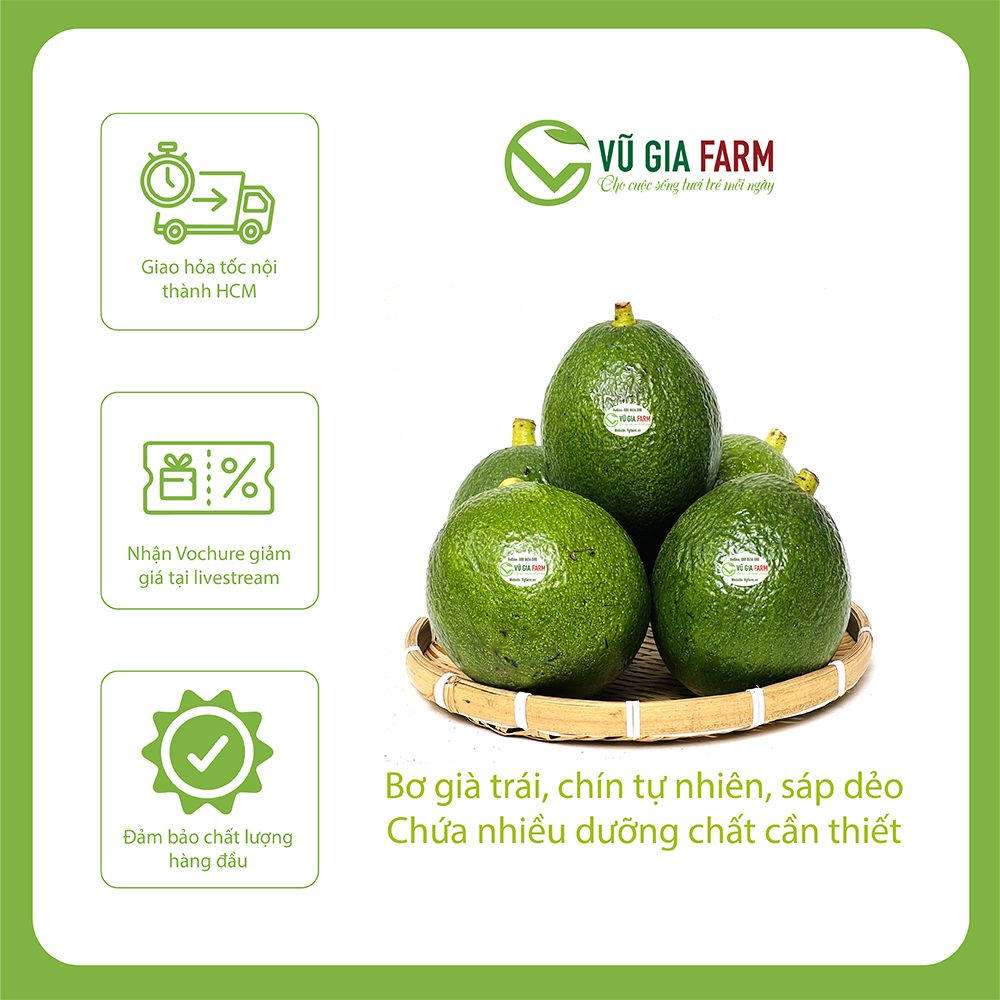 [GIAO TOÀN QUỐC] THÙNG 3 - 3.5KG Bơ Booth/ Bơ 034 Size 2-3-4 trái/kg Tây Nguyên Vũ Gia Farm - bơ sạch nhà trồng, thu hoạch trực tiếp tại vườn, cơm vàng sáp dẻo ngon lắm ạ