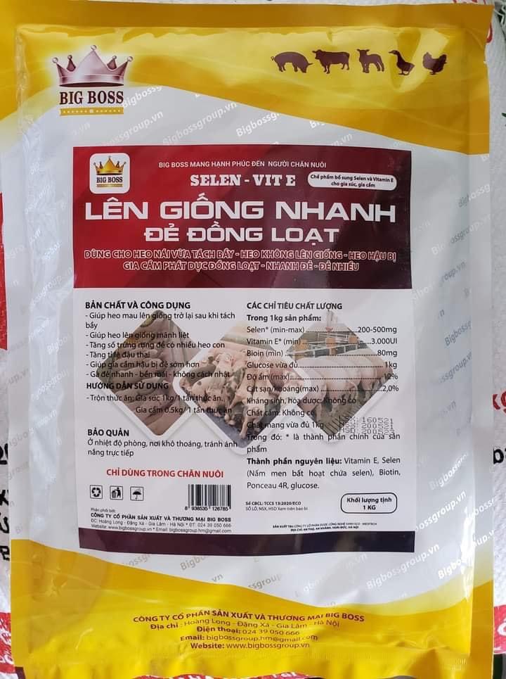 Lên Giống Nhanh, Đẻ sai con, mẹ khỏe, Bền nái, hàng chuẩn công ty