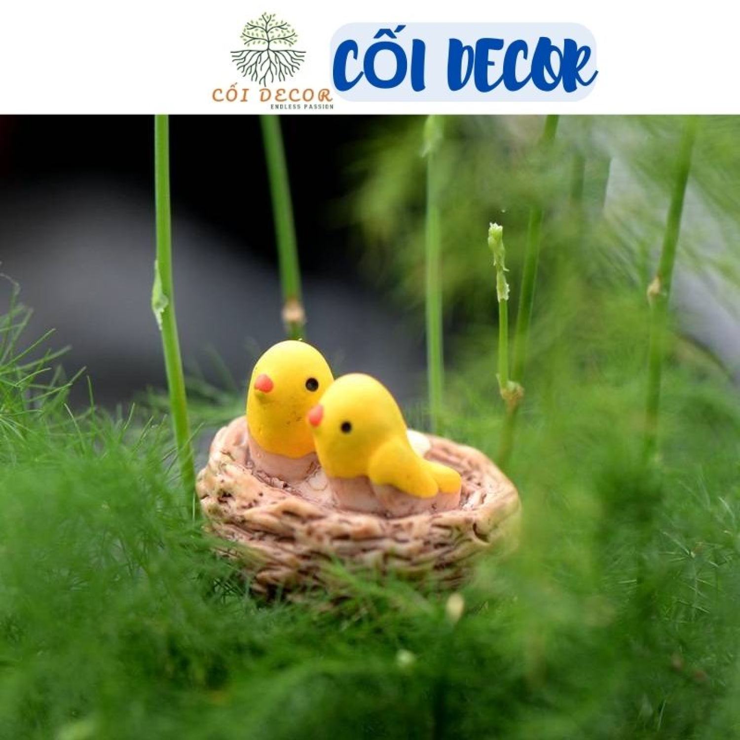 Tổ chim mini trang trí tiểu cảnh, sen đá, terrarium