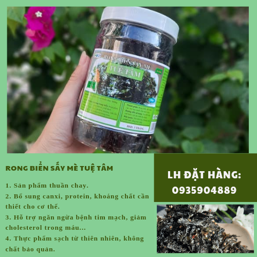 {COMBO 2 HŨ 100GR} RONG BIỂN SẤY MUỐI MÈ TUỆ TÂM - RONG BIỂN SẤY GIÒN ĂN LIỀN - THUẦN CHAY TỰ NHIÊN