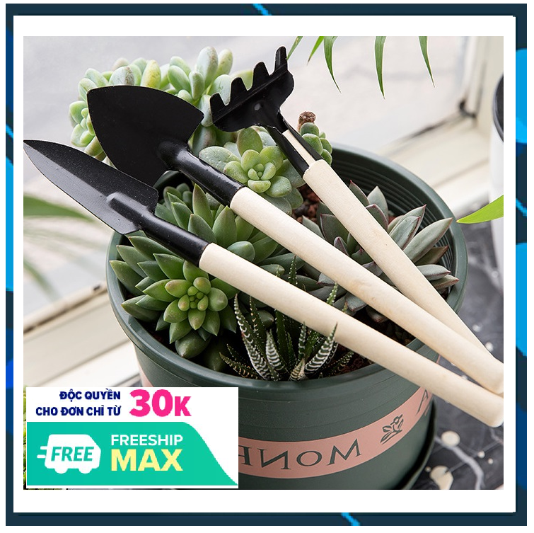 ⚡⚡ bộ xẻng cào mini trồng cây cảnh 3 món funo