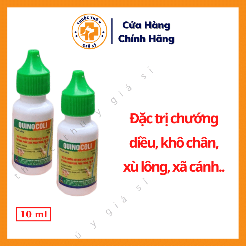 Quinocoli 10ml - Trị Chướng Diều Khô Chân Xù Lông Sã Cánh Phân Xanh Phân Trắng Toi Rù Trên Gà Vịt Ngan Ngỗng Chim Cút Heo - Thú Y Giá Sỉ
