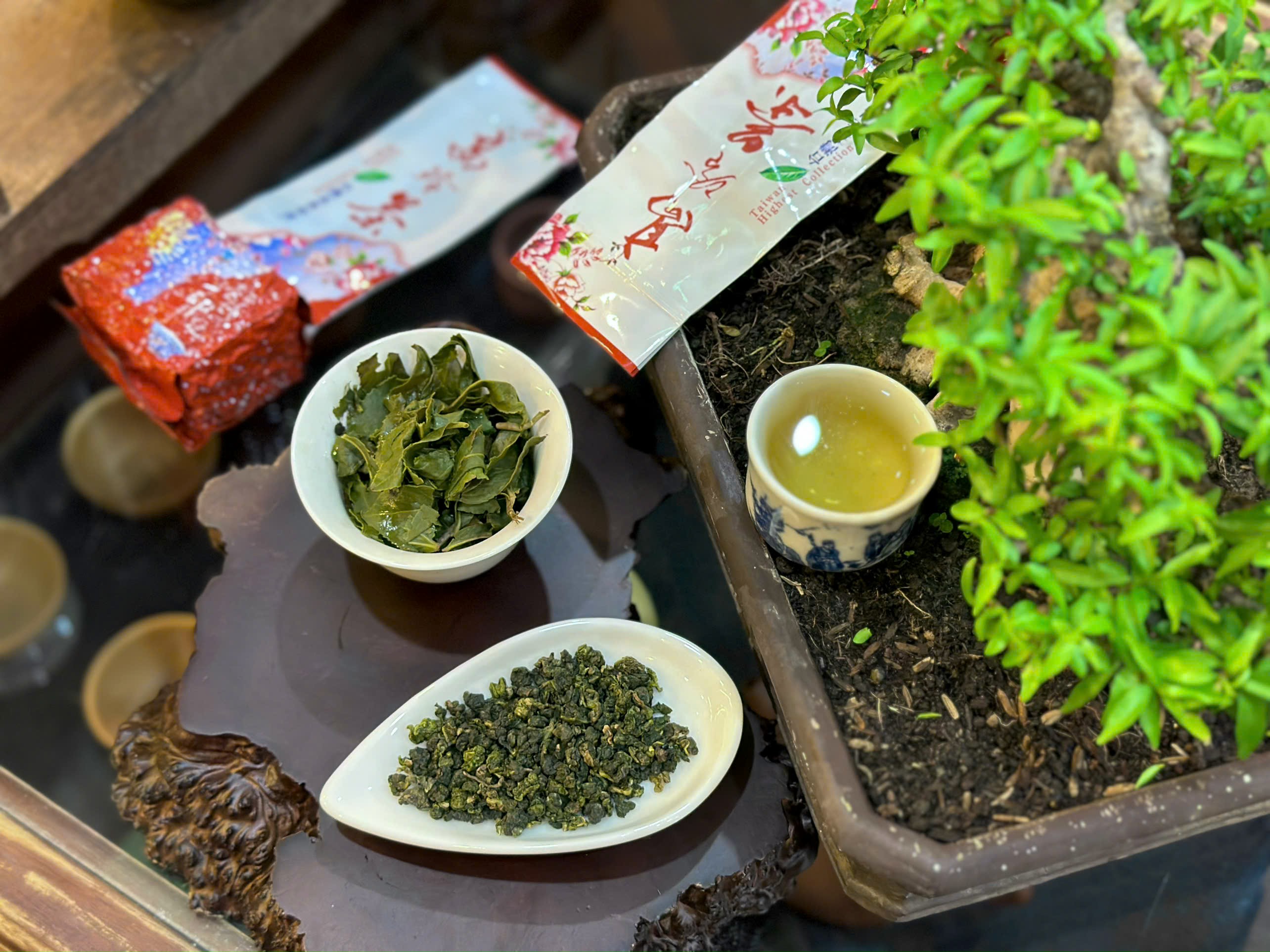 TRÀ OOLONG HƯƠNG SỮA - HỖ TRỢ TIÊU HÓA - HƯƠNG THƠM ĐẶC BIỆT - NƯỚC TRONG - ORGANICTEA - 100G - VIỆT LONG TRÀ