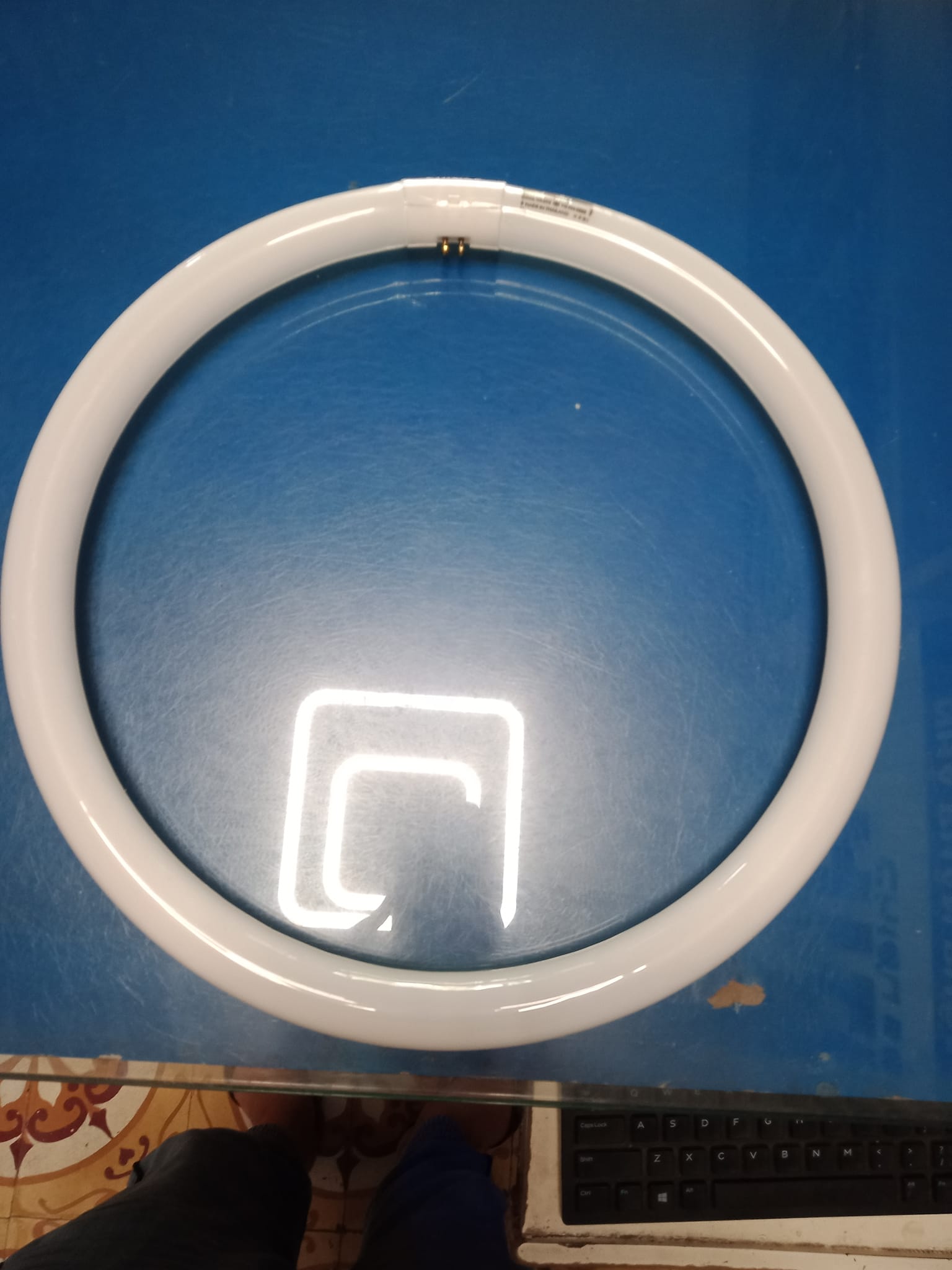 Bóng huỳnh quang vòng (Đèn Ốp) Philips TL-E 40W/33-640  T10