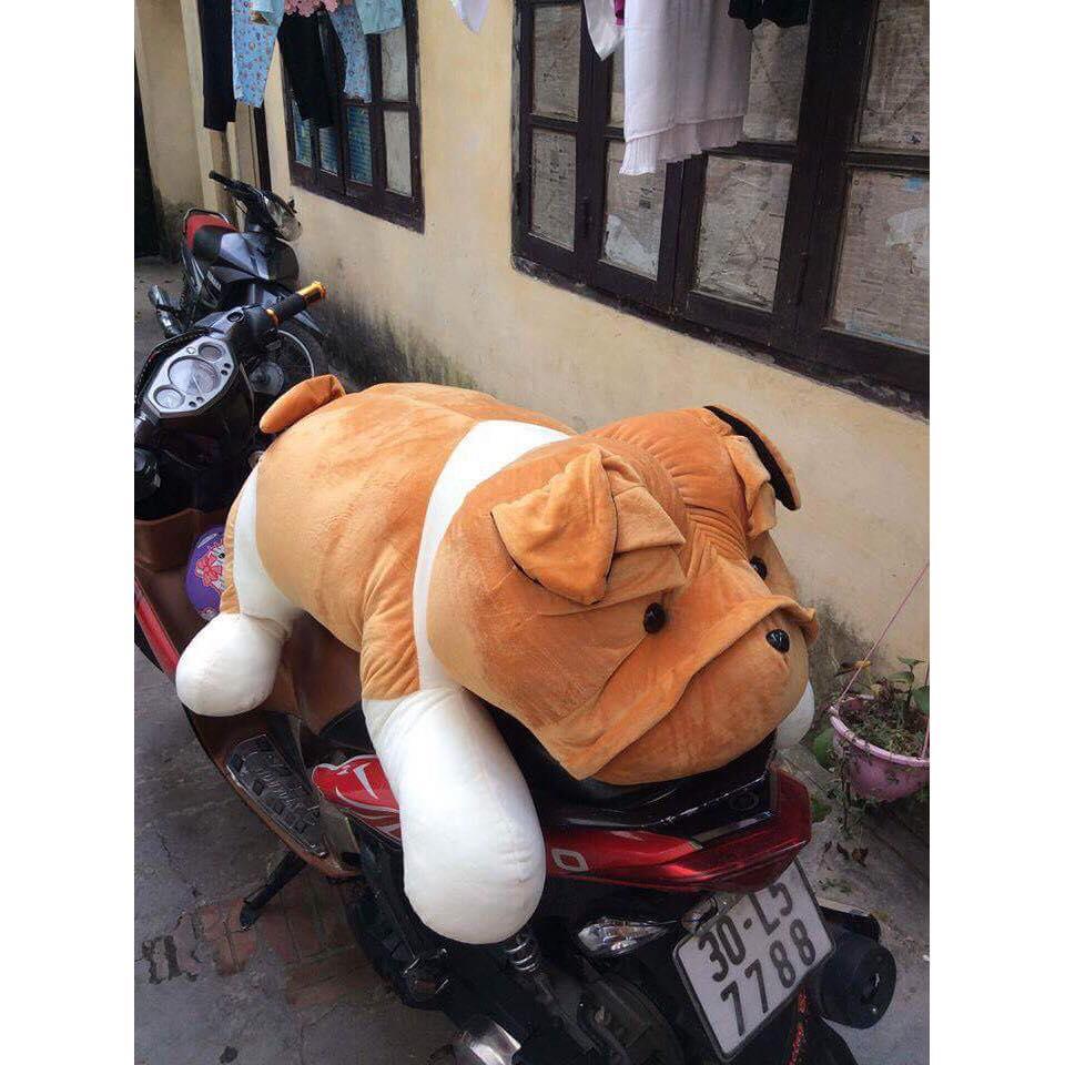 Gâu bông hình chú chó bitpull size 1m cực đẹp