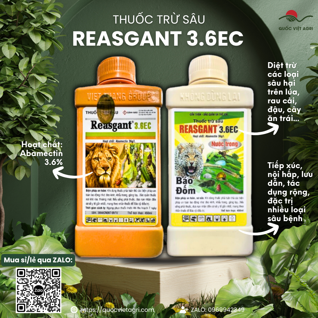  Thuốc trừ sâu REASGANT 3.6EC  chai 450ml  - Abamectin 36g l Trừ bọ trĩ rầy nâu sâu xanh 