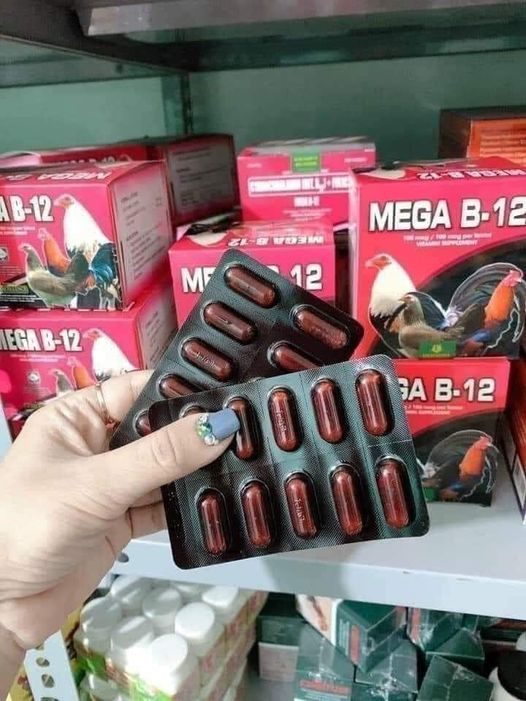 Mega b12 giúp gà tăng nước máu, tăng bo 1 hộp 100 viên