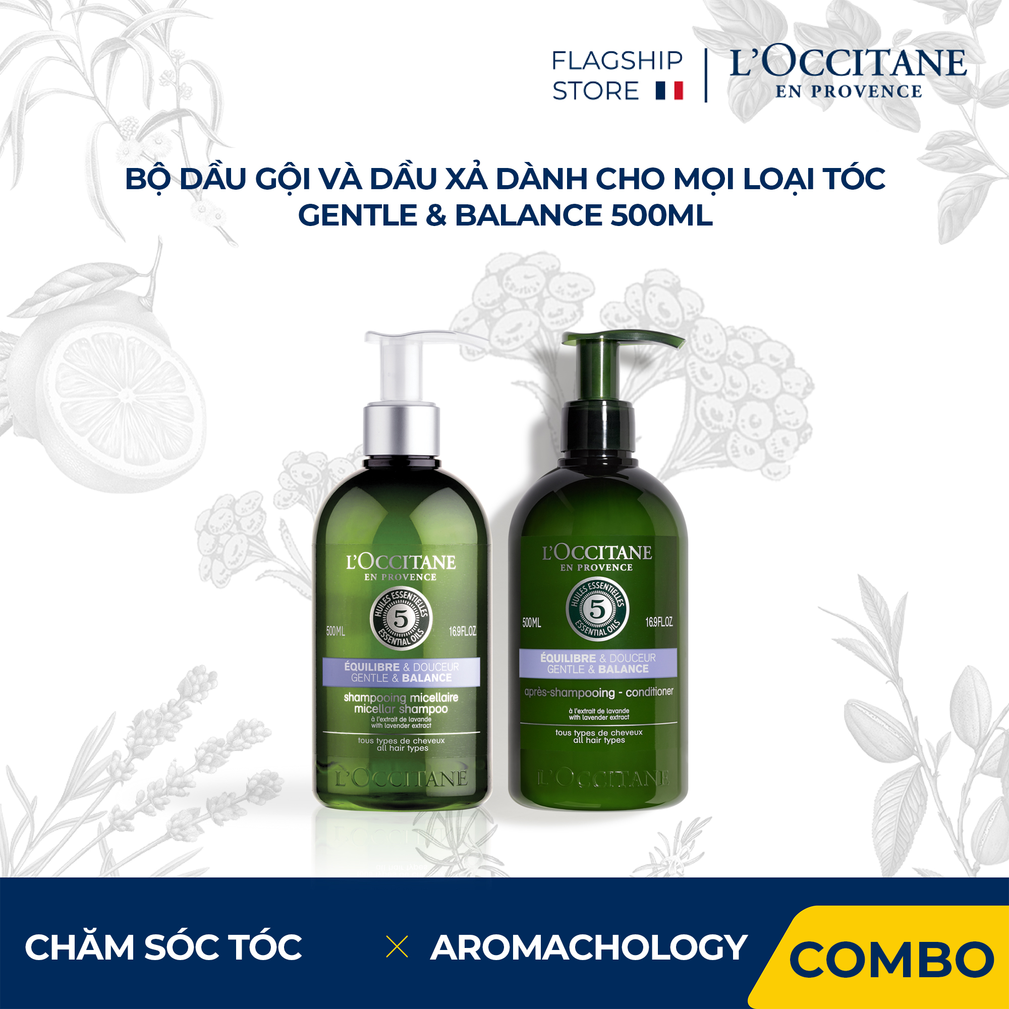 Dầu Gội - Dầu Xả Gentle & Balance Dành Cho Mọi Loại Tóc L'Occitane Aromachologie Gentle & Balance Mi