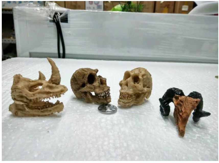 Tượng xương đầu lâu hóa thạch cổ đại trang trí cho pet