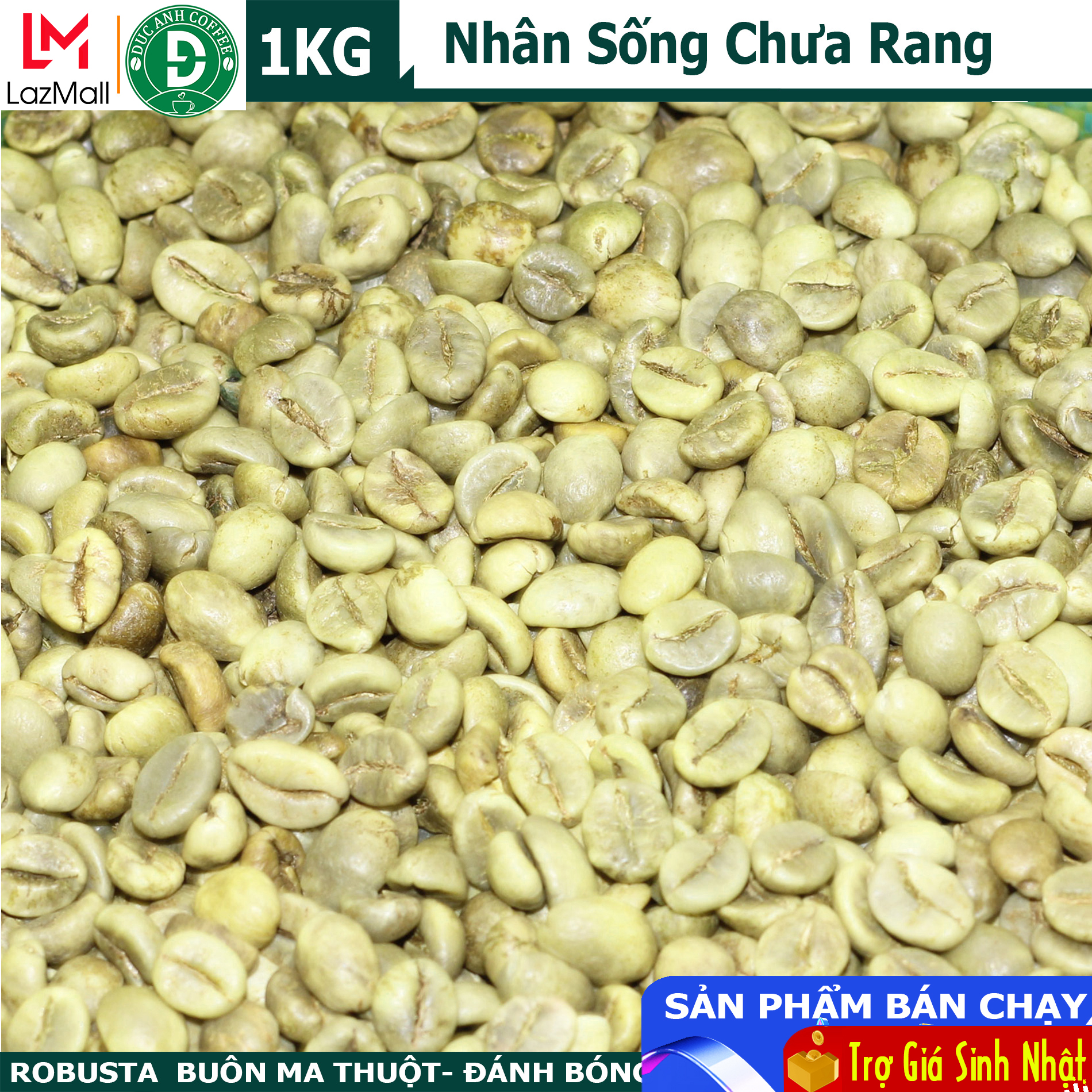 1kg cafe nhân sống chưa rang Robusta Buôn Ma Thuột - sàng lọc kỹ - sản phẩm của công ty cà phê Đức Anh DUC ANH COFEE - cà phê nhân sống