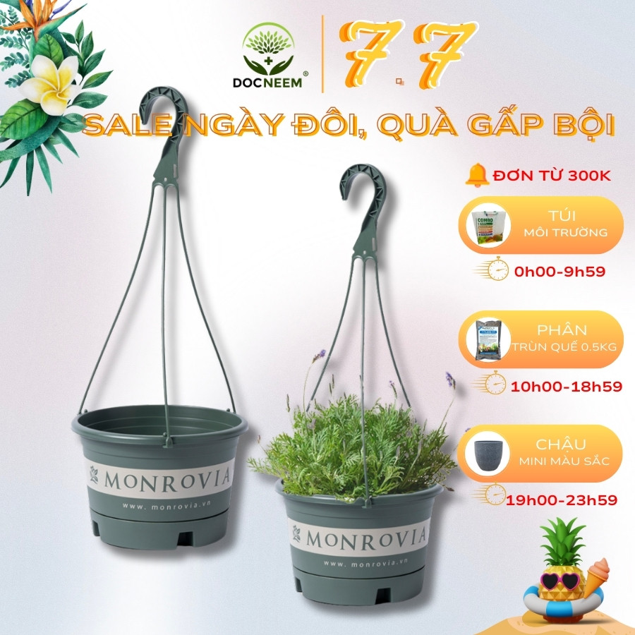 Chậu treo hoa MONROVIA, Dòng T-series, chậu nhựa treo, chậu treo tường, chậu nhựa treo trồng cây, phong cách châu âu, thiết kế tinh tế, chính hãng monrovia