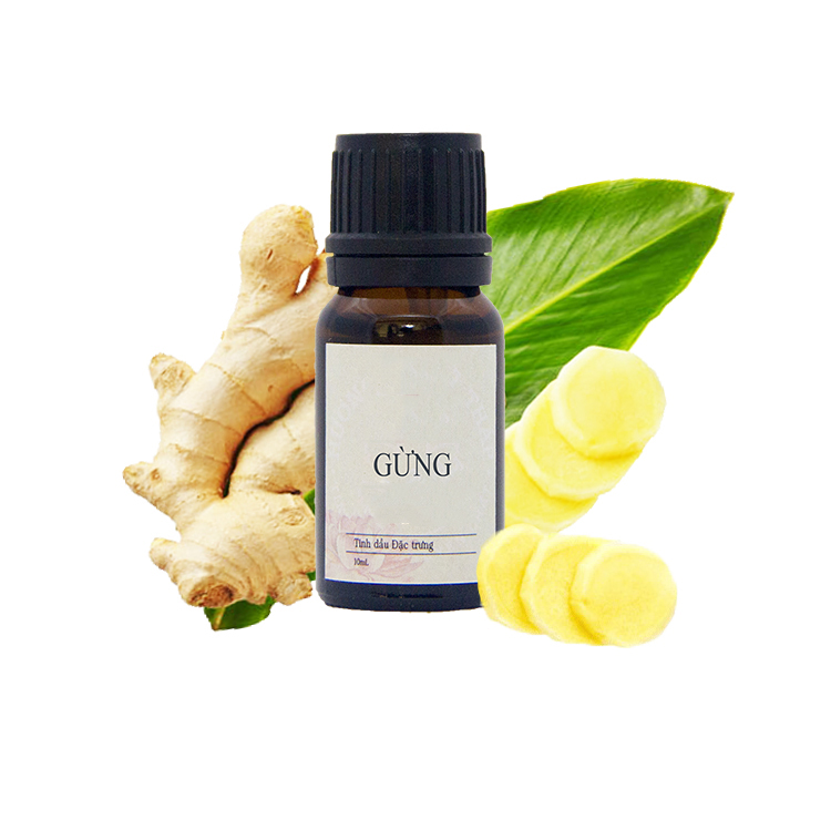 [HCM]Tinh Dầu Gừng Thiên Nhiên Chiết Xuất Nguyên Chất 10ml