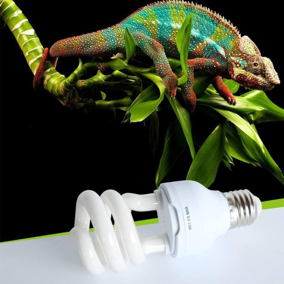 Bóng đèn sưởi UVB 10.0 công suất 13w cho thú cưng, bò sát, rùa cảnh, iguana