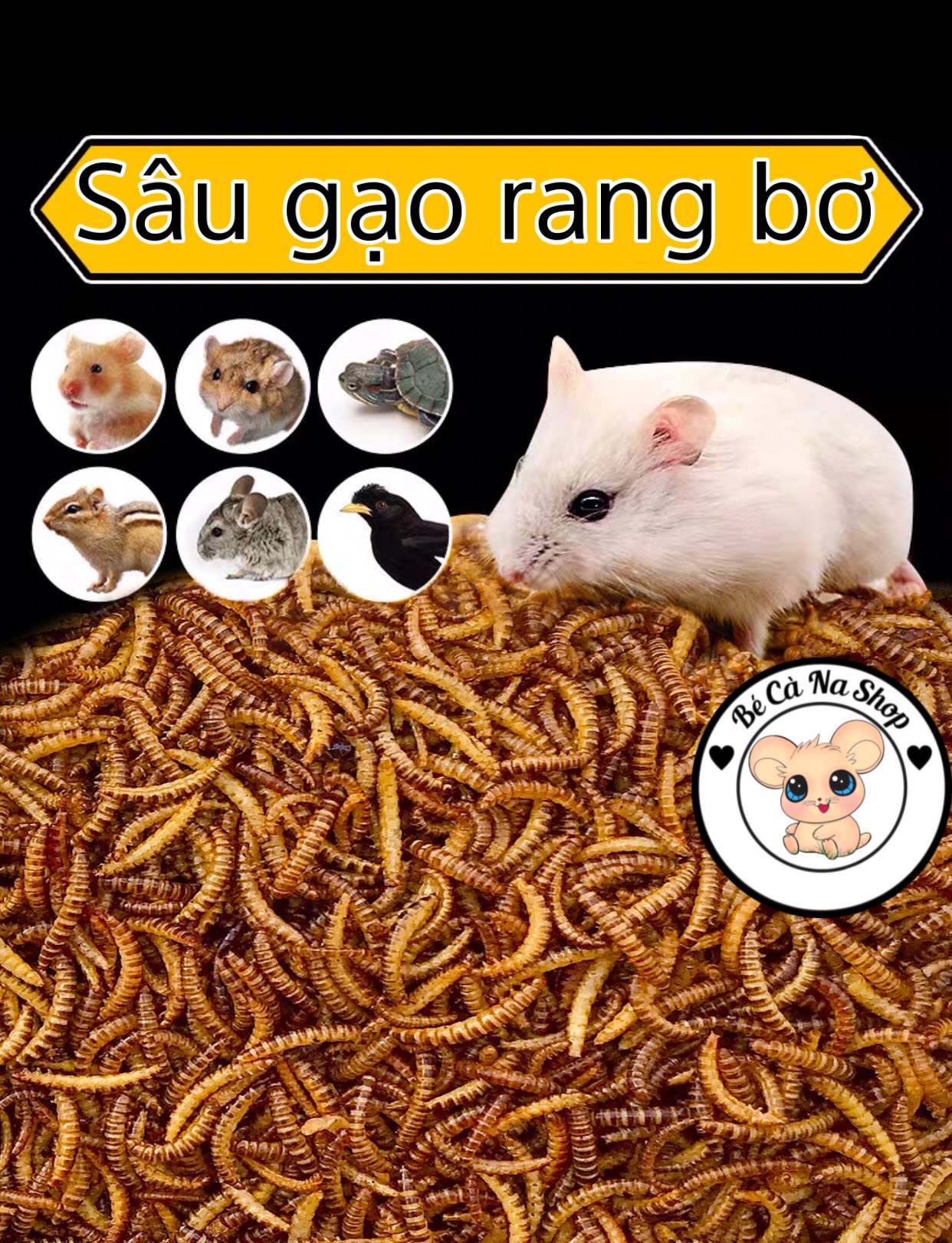 sâu gạo mini rang bơ cho hamster