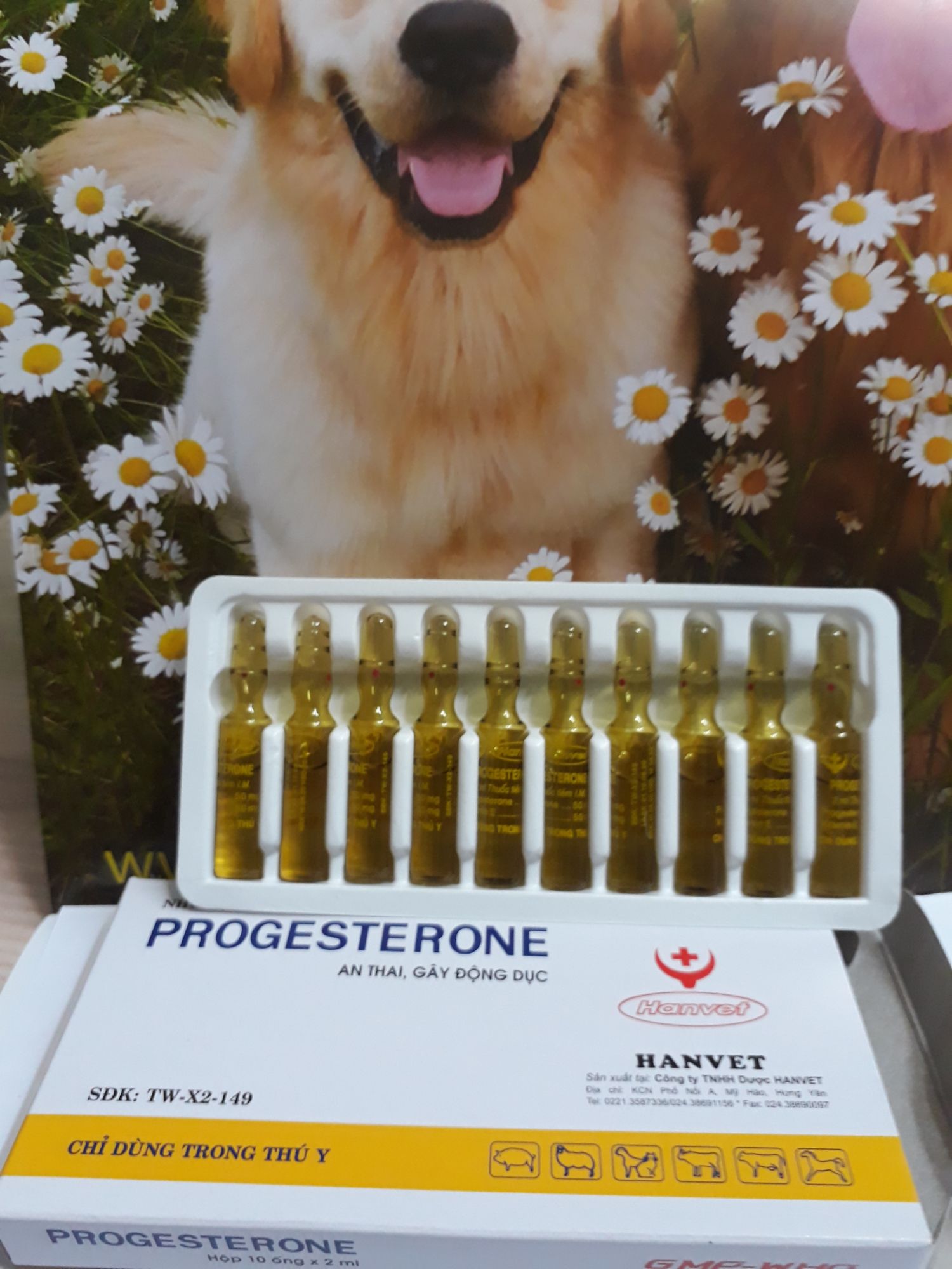 10 ống dưỡng thai chó mèo, tránh động thai,giảm động dục cái/ngừa co thắt tử cung progesterol 2ml