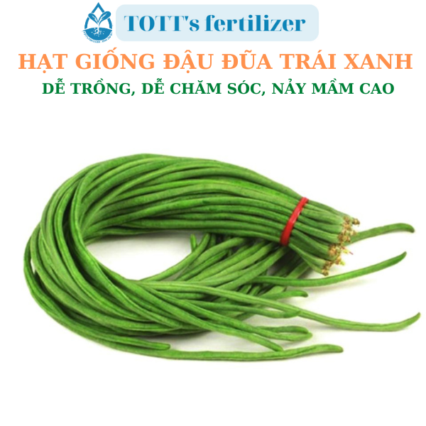 Hạt giống đậu đũa trái xanh dễ nảy mầm dễ trồng TOTT's fertilizer