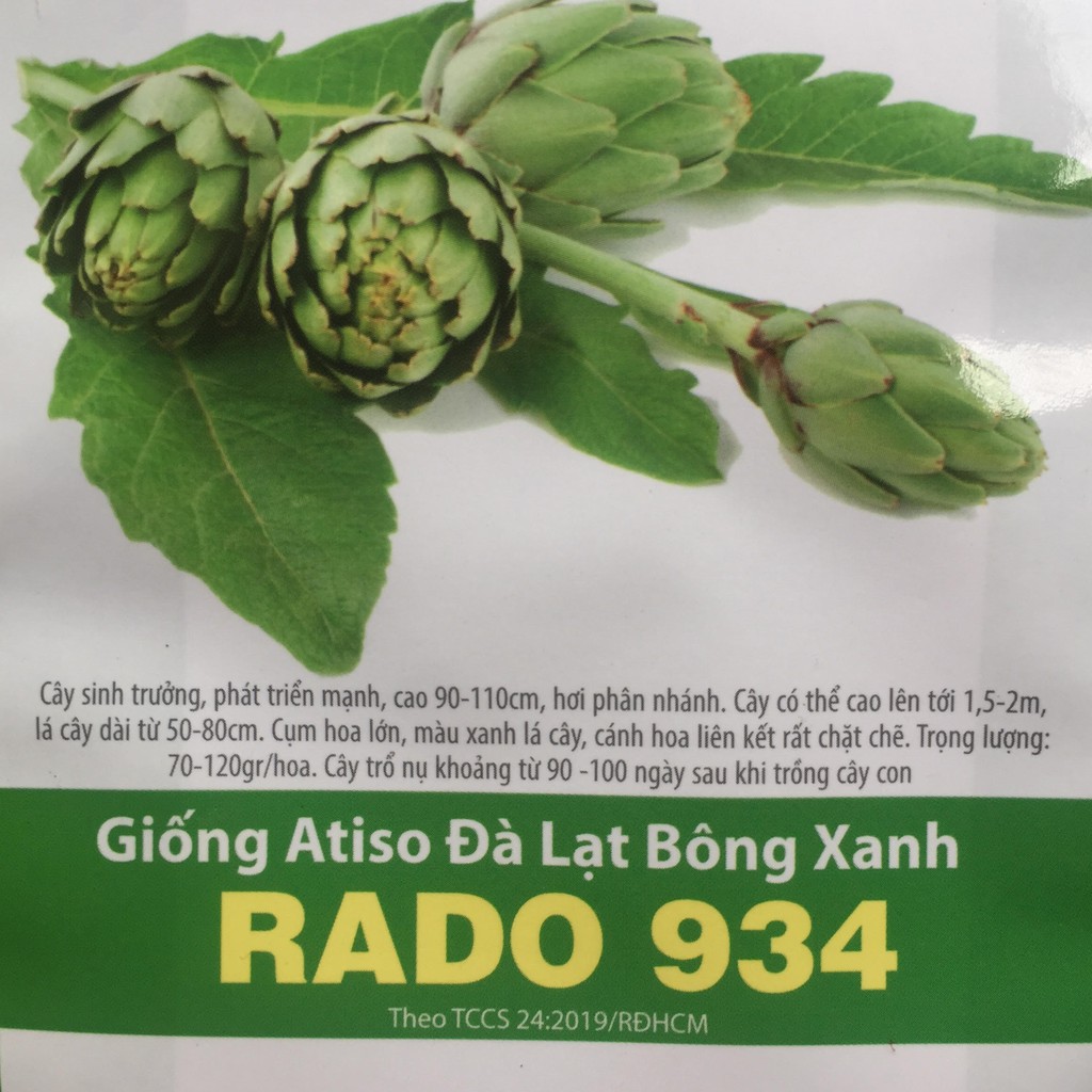 Hạt giống trà Atiso Đà Lạt Rạng Đông - gói 2g