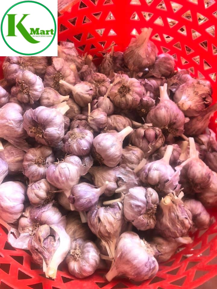 { 500GR } TỎI TÍA - TỎI TÍM - TỎI BẮC ĐÃ PHƠI KHÔ, CẮT CUỐNG