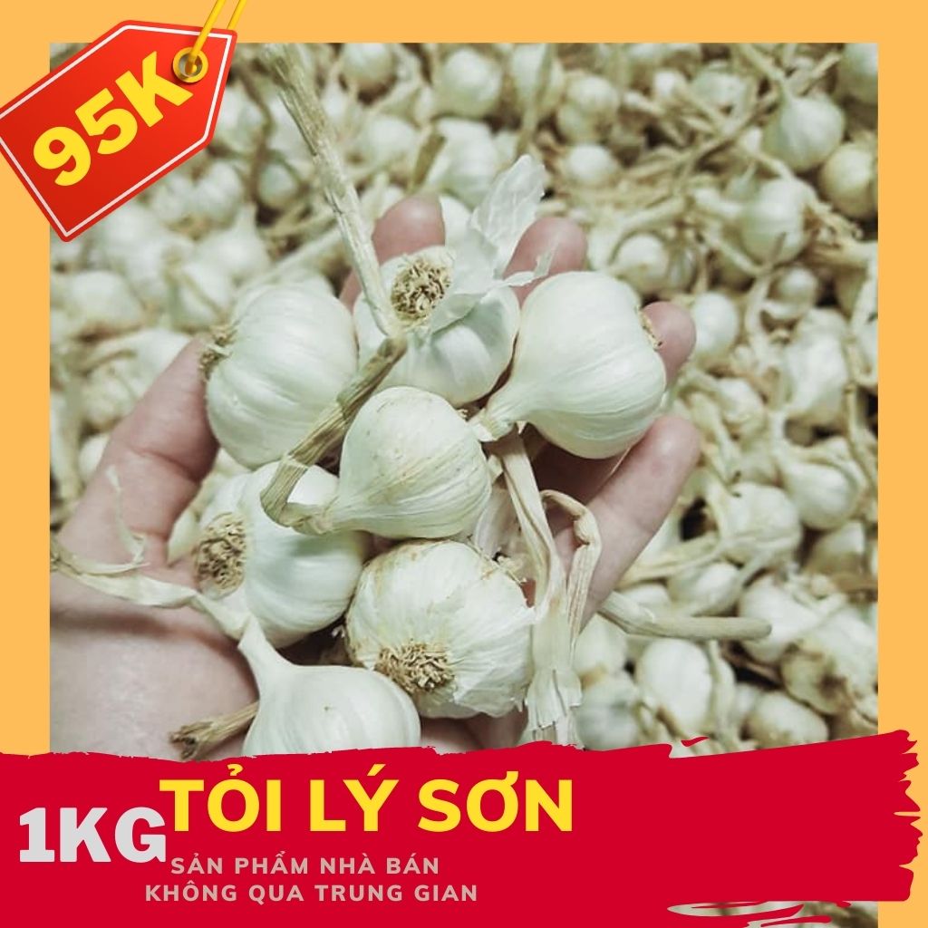Tỏi Lý Sơn đặc sản Quảng Ngãi loại 1kg - loại tỏi nhỏ nhiều tiếp tỏi chính gốc lý sơn thơm ngon